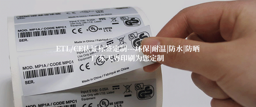 香港免费正版资料大全