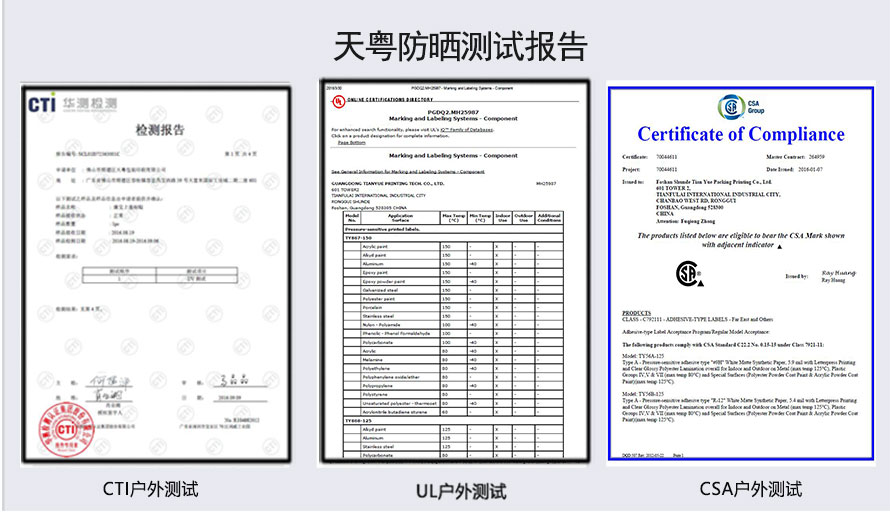 香港免费正版资料大全